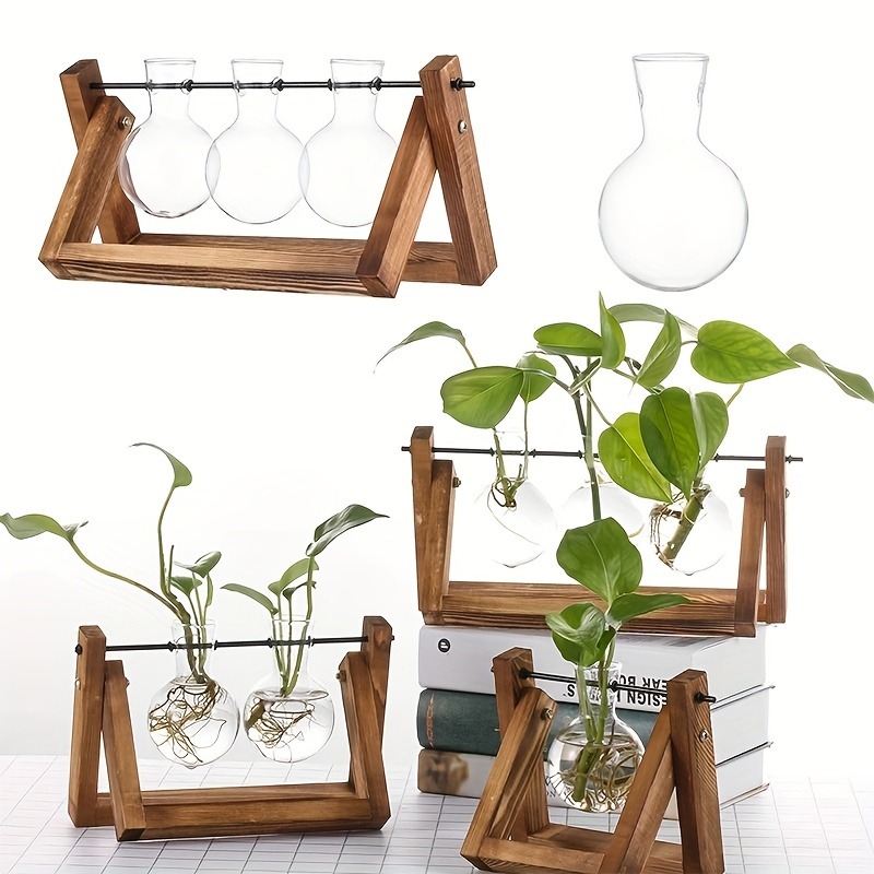 Plant Growth Regulator - Tabletop Glass Planter Propagation Station Hydroponic