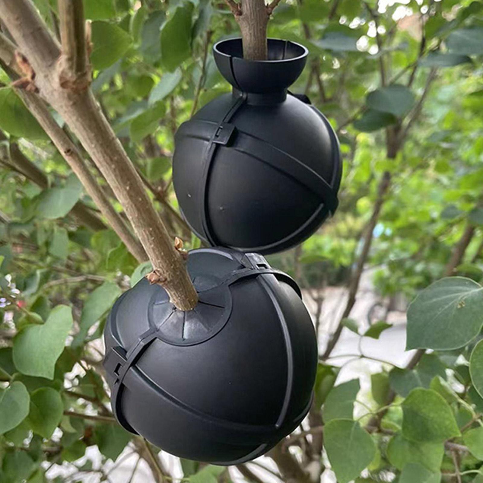 Plant Rooting Ball Grafting Bo - огляд і ціна Plant Growth Regulator