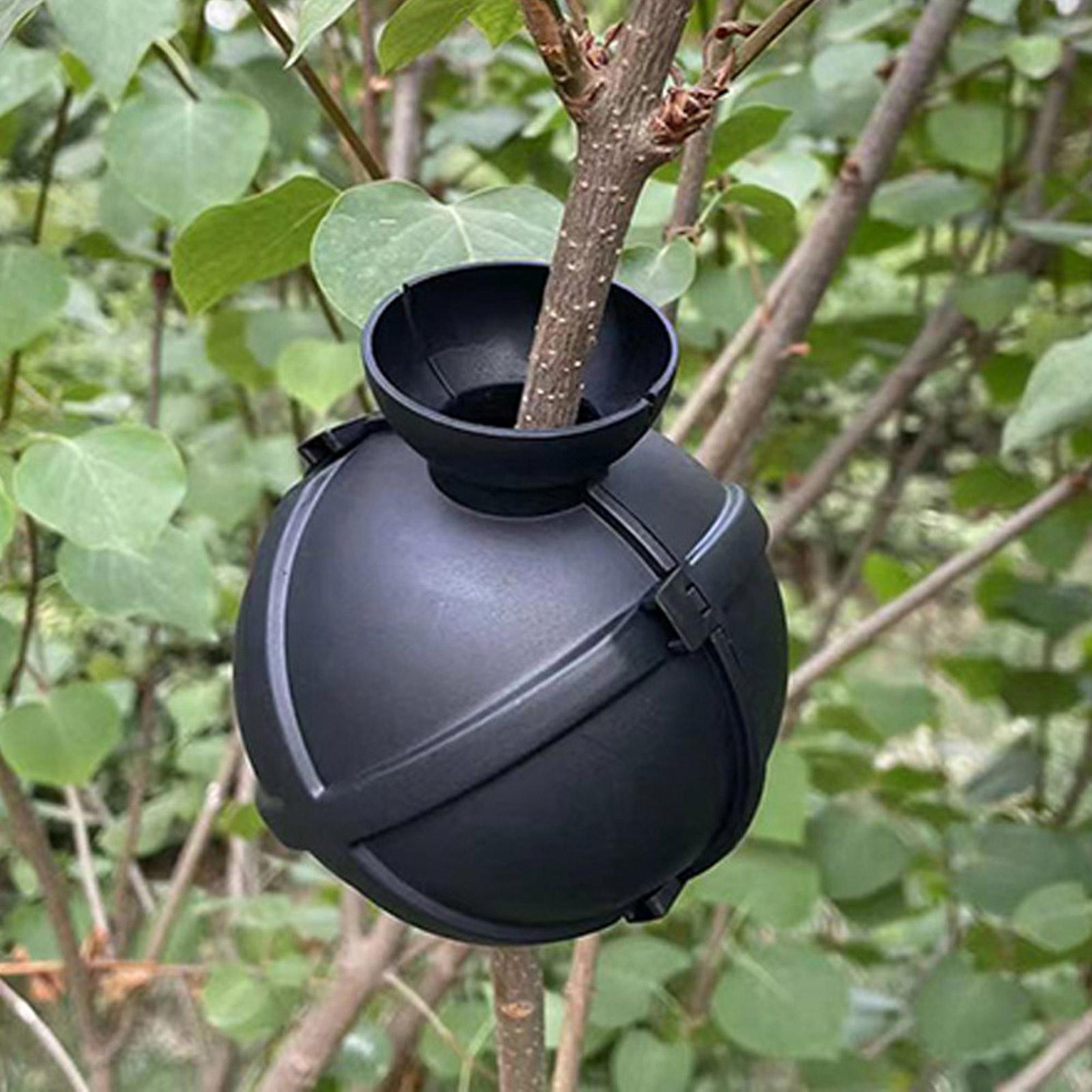 Plant Rooting Ball Grafting Bo - огляд і ціна Plant Growth Regulator