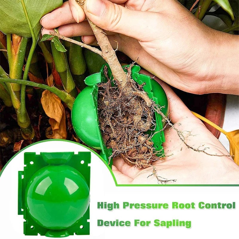 5/30Pcs Plant Rooting Ball Gra - огляд і ціна Plant Growth Regulator