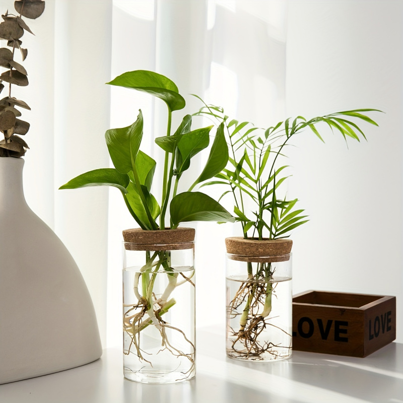 1pc, Hydroponics Plants Deskto - огляд і ціна Plant Growth Regulator