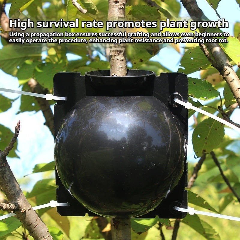 10pcs Plant Propagation Kit: H - огляд і ціна Plant Growth Regulator