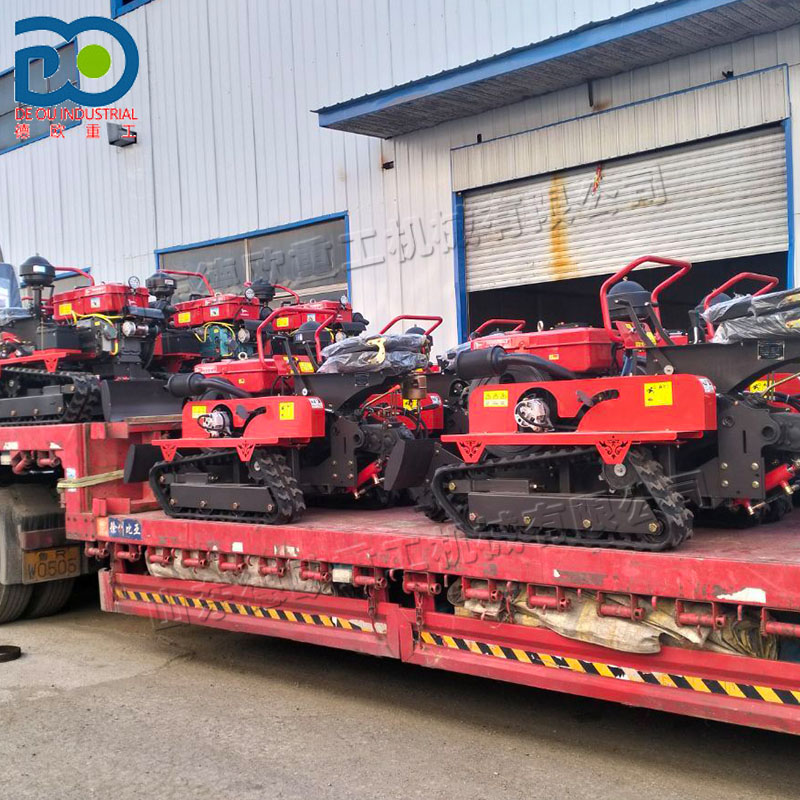 1-Year Warranty Compact Size C - огляд і ціна Farming Year