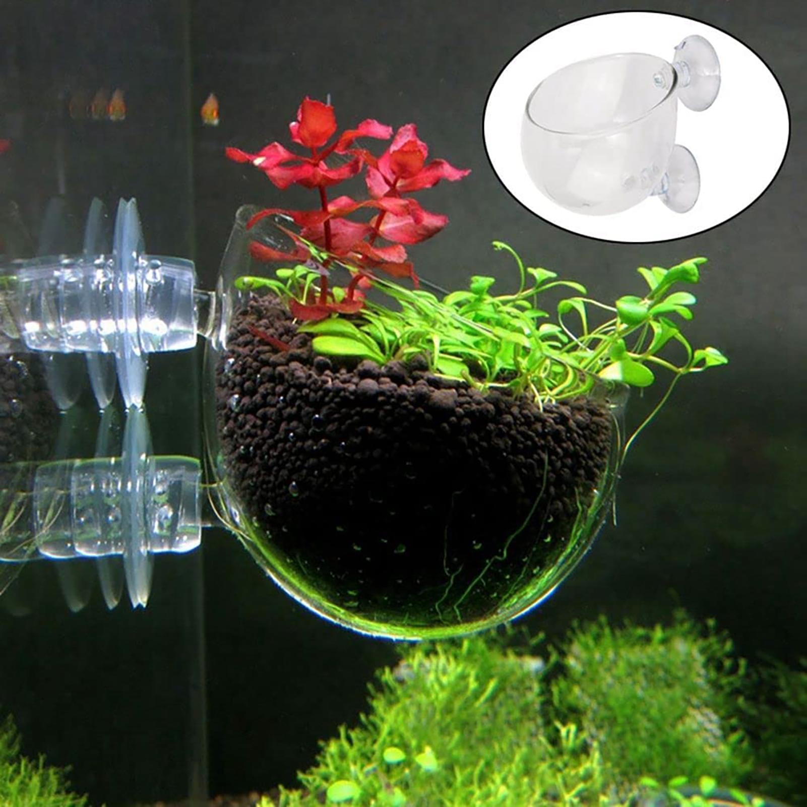 Aquatic Plant Pot Clear Acryli - огляд і ціна Plant Growth Regulator