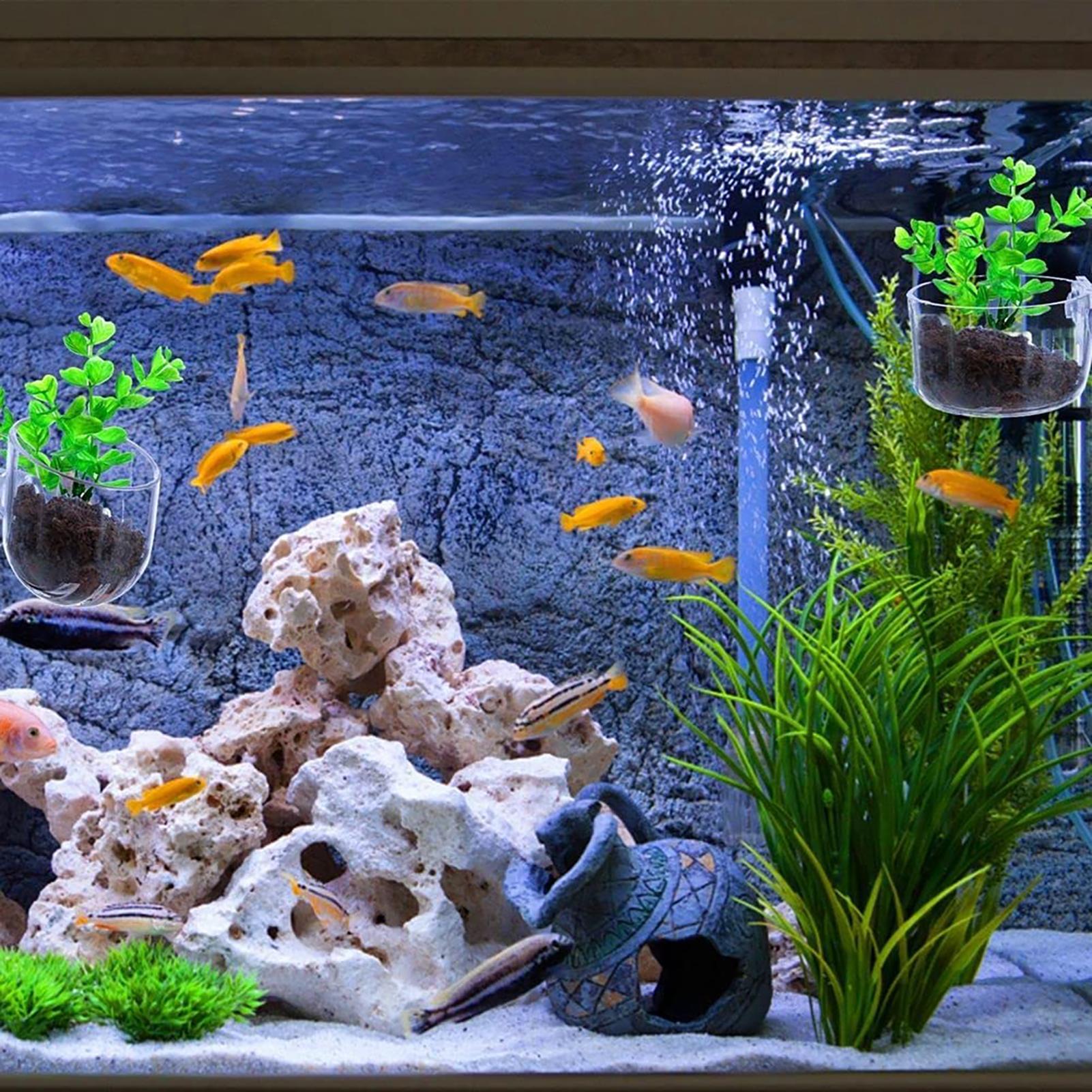 Aquatic Plant Pot Clear Acryli - огляд і ціна Plant Growth Regulator