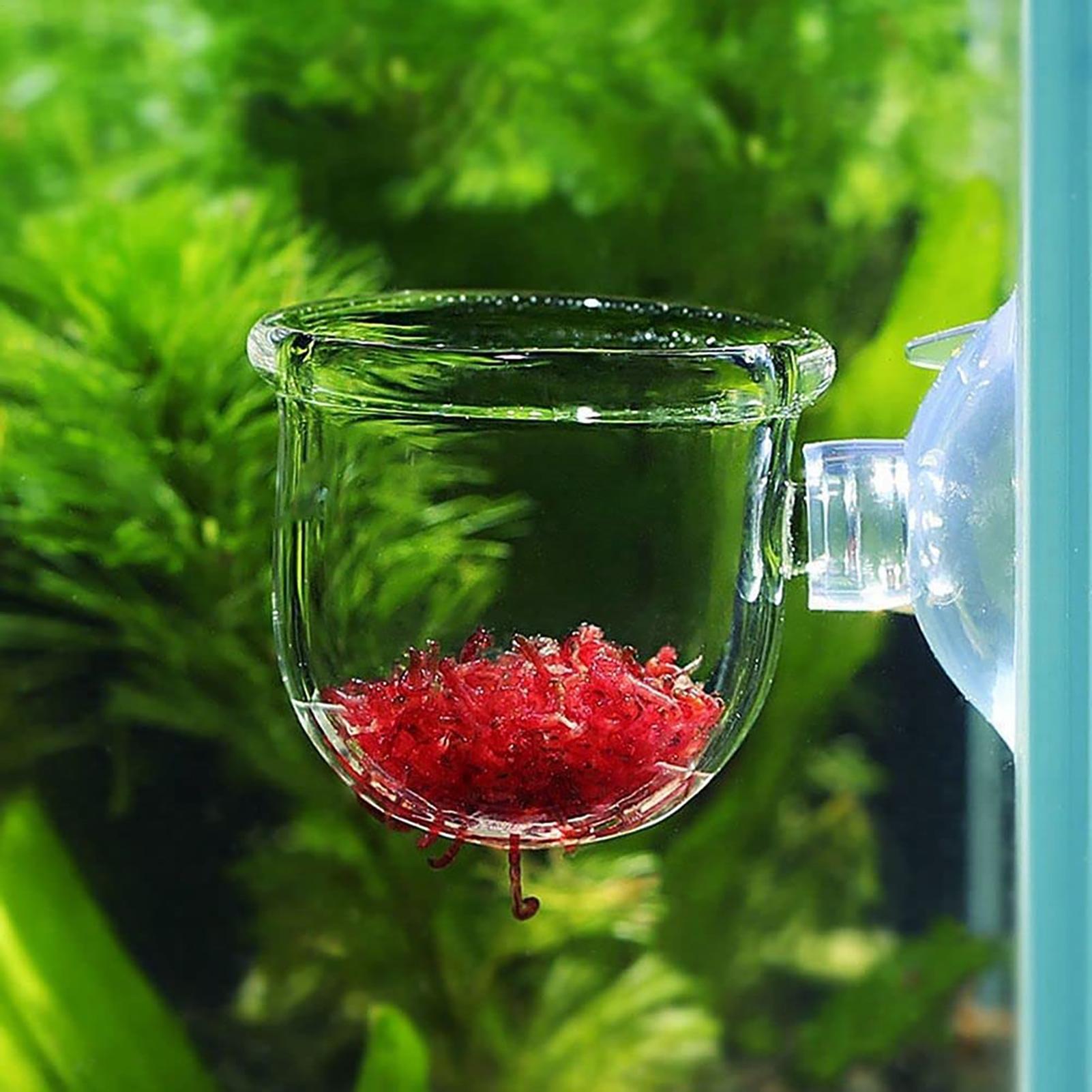 Aquatic Plant Pot Clear Acryli - огляд і ціна Plant Growth Regulator