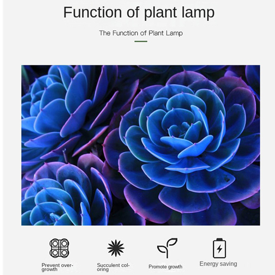 PwwQmm LED Plant Grow Lamp USB - огляд і ціна Plant Growth Regulator