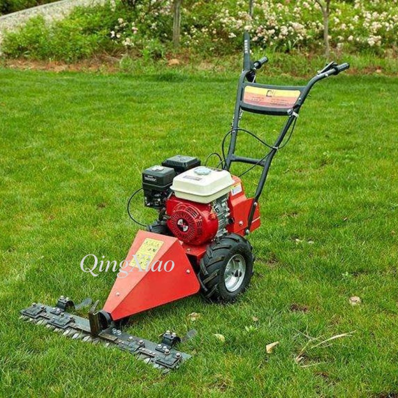 6.5Hp Four Stroke Wheeled Gras - огляд і ціна Farming Agriculture Jobs
