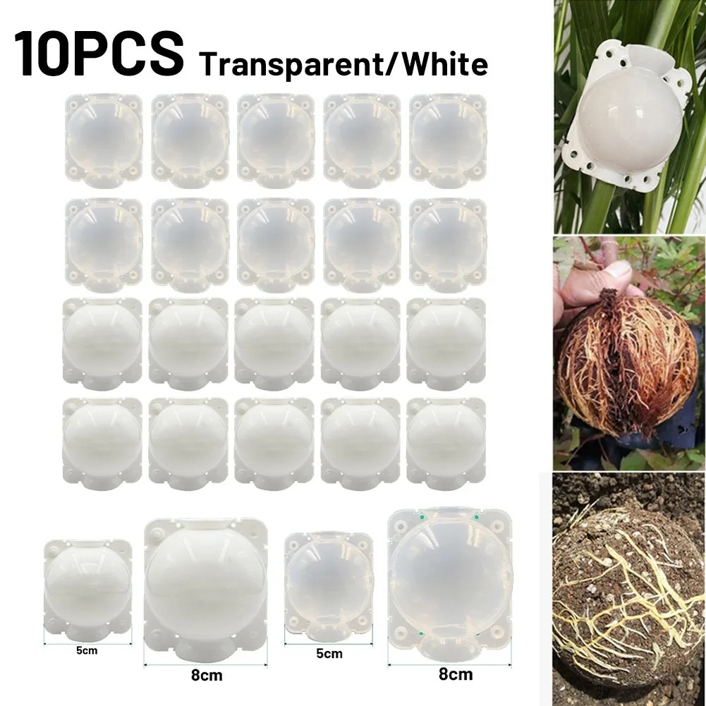 10pcs 5/8/12cm Plant Root Grow - огляд і ціна Plant Growth Regulator