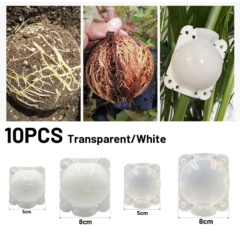10pcs 5/8/12cm Plant Root Grow - огляд і ціна Plant Growth Regulator