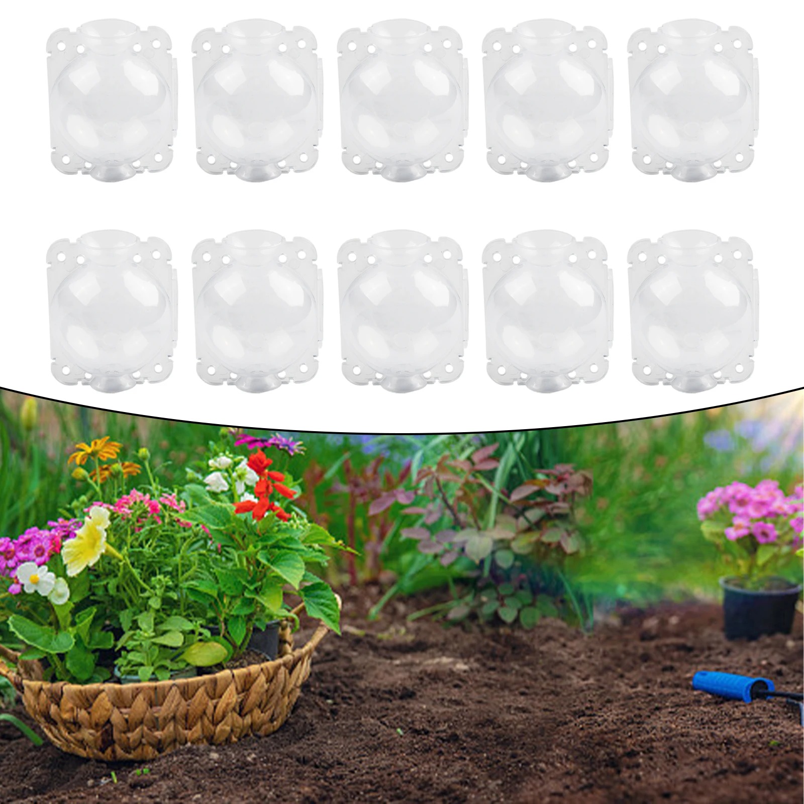 10pcs 5/8/12cm Plant Root Grow - огляд і ціна Plant Growth Regulator